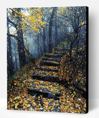 Forrest Stairs Path Paint By Number