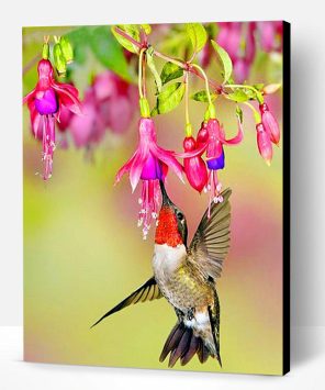 Beautiful Flowers With Hummingbird Paint By Number