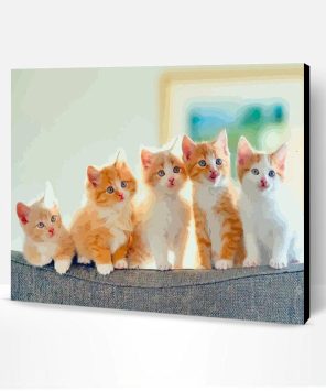 Cute Ginger And White Kittens Paint By Number