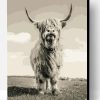 Highland Cattle Paint By Number
