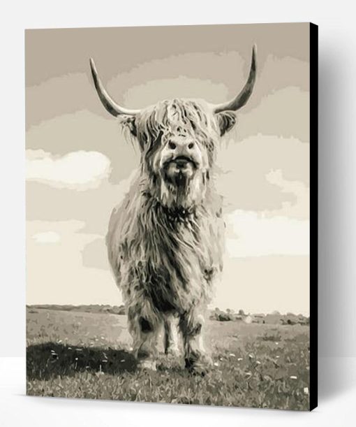 Highland Cattle Paint By Number