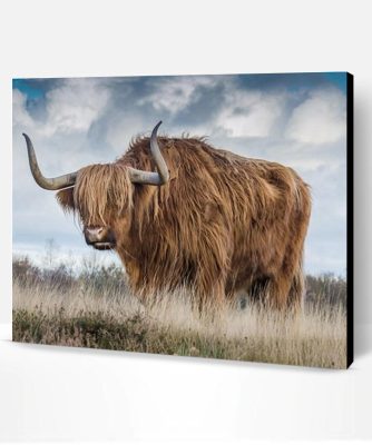 Highland Cow Paint By Number