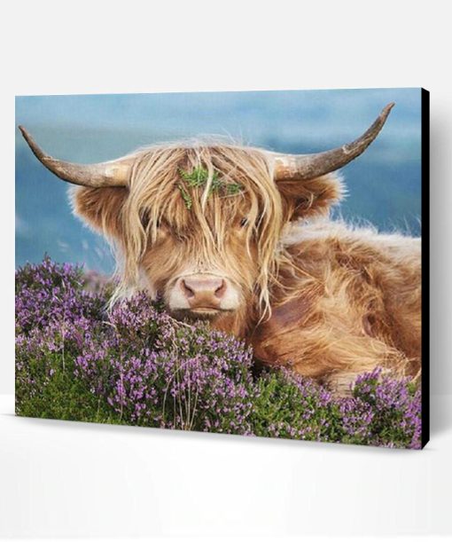 Highland Cow In The Heather Paint By Number