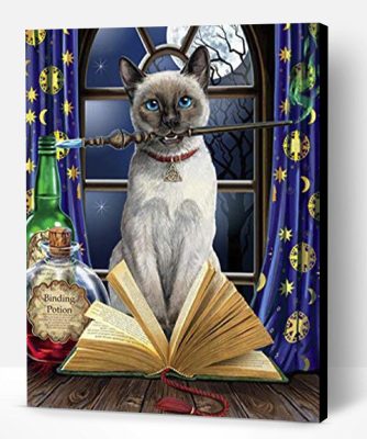 Hocus Pocus Cat Paint By Number