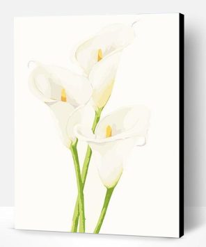 Calla Lily Paint By Number