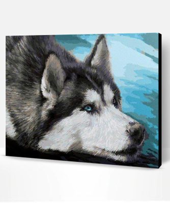 Husky Portrait Paint By Number