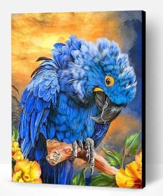 Hyacinth Macaw Paint By Number