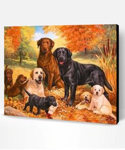 Labrador Dogs Paint By Number