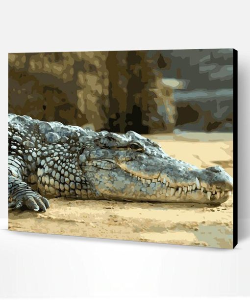 Lazy Alligator Paint By Number