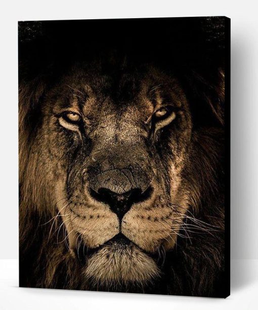 Lion In Dark Paint By Number