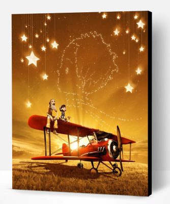 Little Prince Airplane Paint By Number