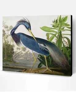 Louisiana Heron Bird Paint By Number