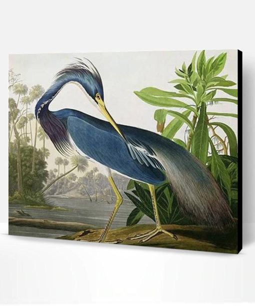 Louisiana Heron Bird Paint By Number