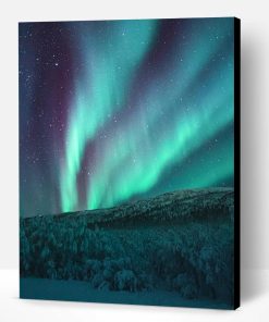 Northern Lights Forest Paint By Number