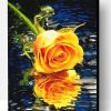 Orange Rose on Water Paint By Number