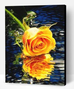 Orange Rose on Water Paint By Number