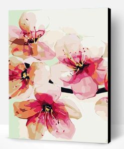 Peach Blossom Paint By Number