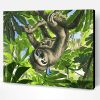 Sloth on a Tree Paint By Number