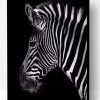 Classic Zebra Paint By Number