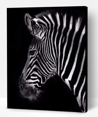 Classic Zebra Paint By Number