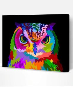 Owl Colorful Pop Art Paint By Number