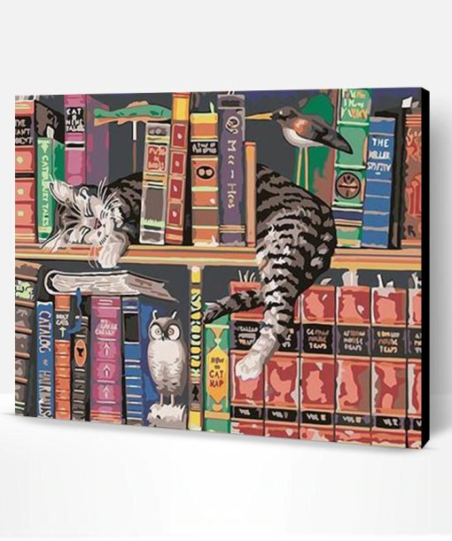 Cats on bookshelves Paint By Number