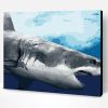 Marine Great White Shark Paint By Number