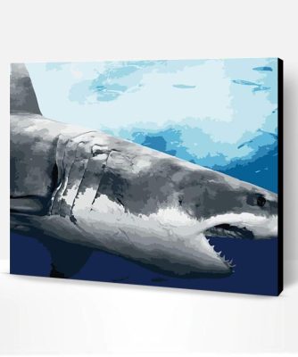 Marine Great White Shark Paint By Number