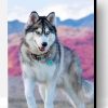 Siberian Dog Husky Paint By Number