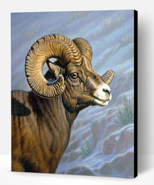 Mount Everest Ram Paint By Number