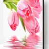 Pink Tulips Paint By Number