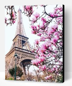 Pink Blossom in Paris Paint By Number