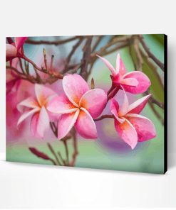 Plumeria Paint By Number