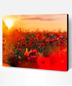 Poppy Field Paint By Number