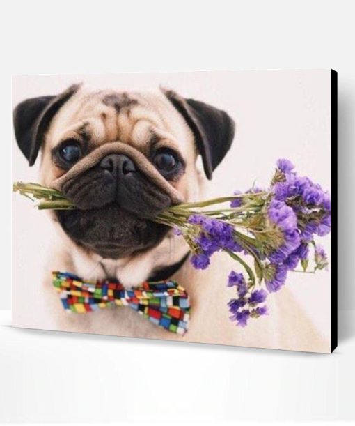 Pug Dog and Flowers Paint By Number