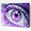 Purple Eyes Paint By Number