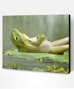 Quiet Frog Paint By Number