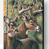 Deers Couple Paint By Number