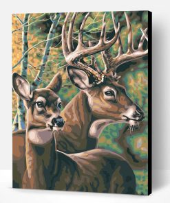 Deers Couple Paint By Number
