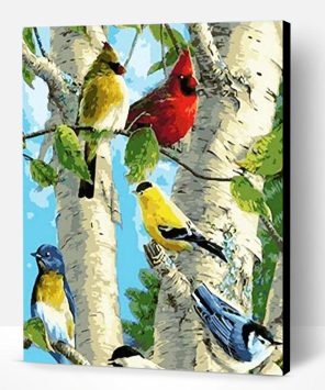 Colorful Cardinals Bird Paint By Number