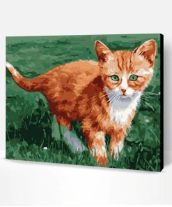 Little Orange Cat Paint By Number