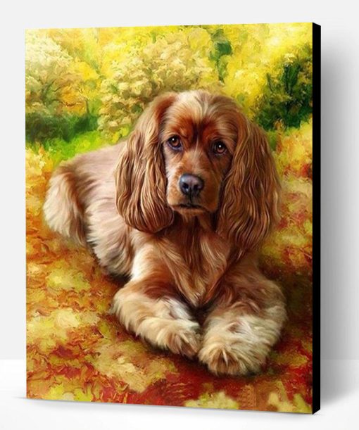 Brown Dog Paint By Number