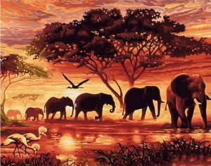 Elephants Paint By Number