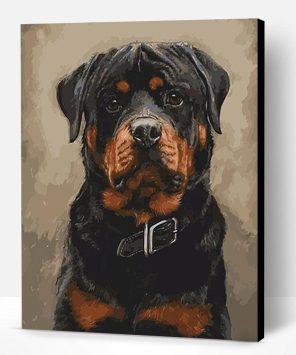 Black Dogs Paint By Number