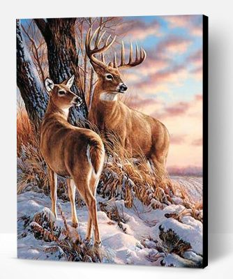 Deer Paint By Number