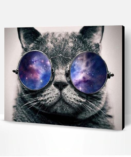 Cat With Galaxy Glasses Paint By Number