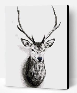 Deer Portrait Paint By Number