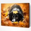 Border Collie and Leaves Paint By Number