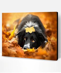 Border Collie and Leaves Paint By Number