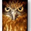Owl Animals Paint By Number